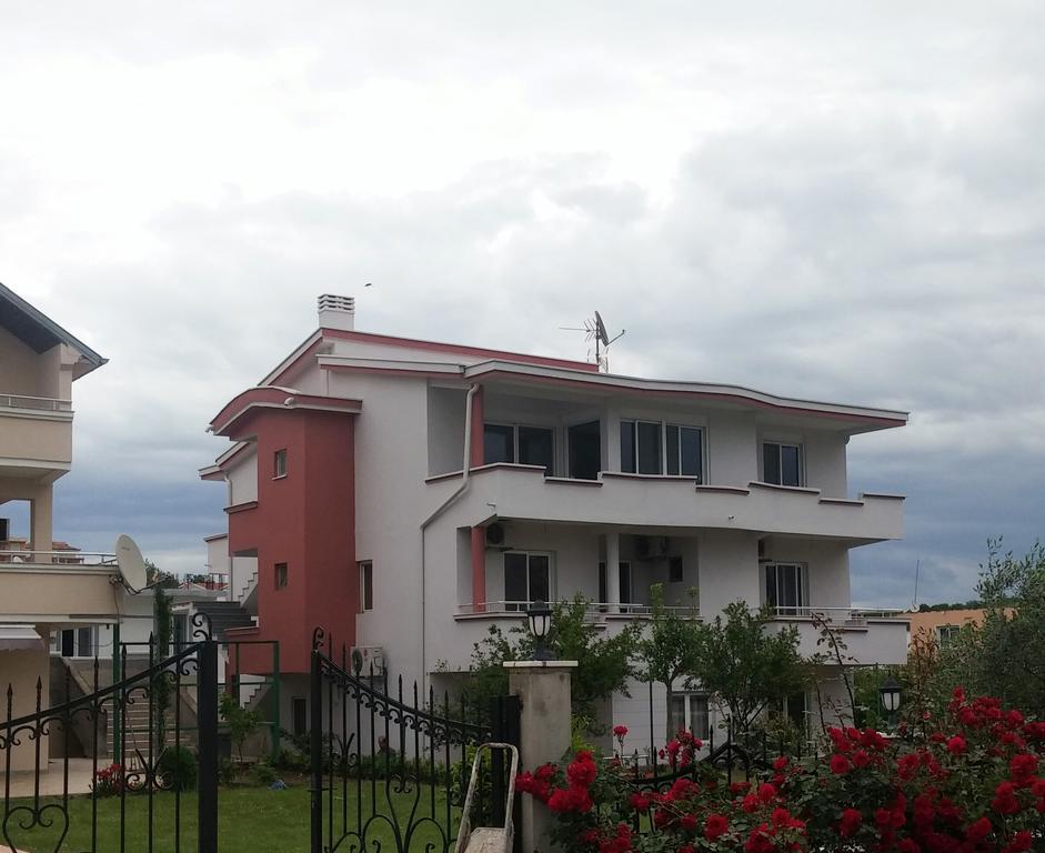 Ela Daire Ülgün